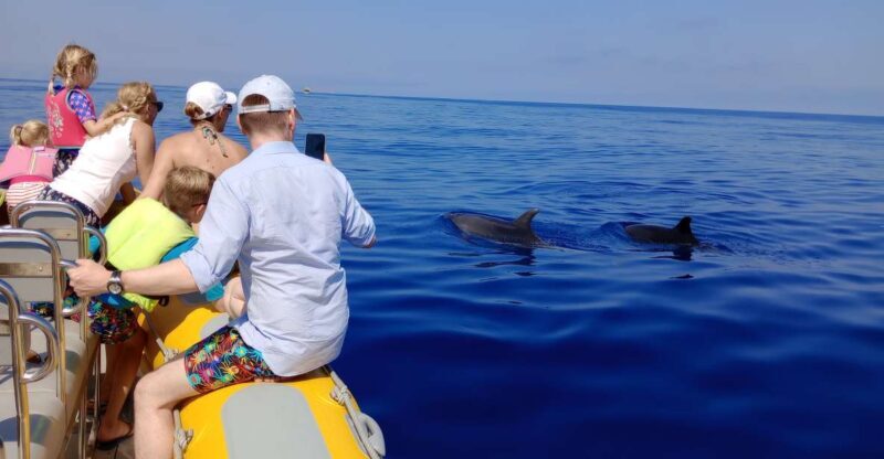 Can Picafort: Dolphin Watching Boat Tour, Swimming stop - Who is This Tour Perfect For?
