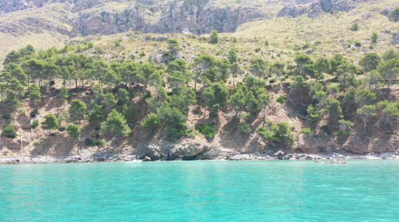 Can Picafort HalfDay Boat Excursion - Key Points