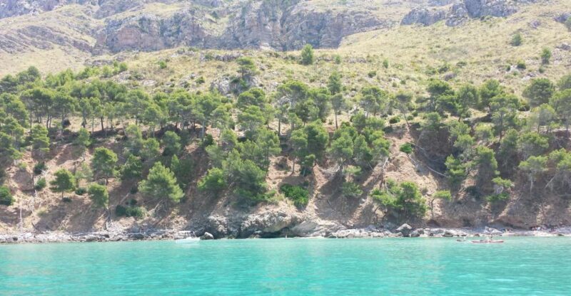 Can Picafort HalfDay Boat Excursion - Authentic Experiences: What You’ll Really Remember