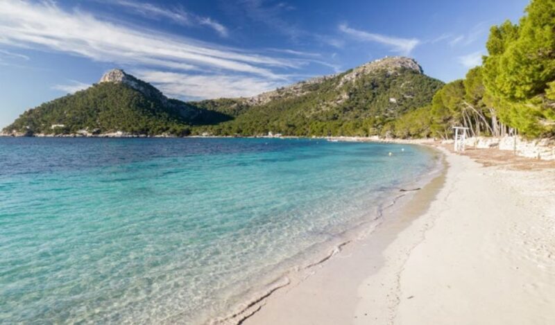 Can Picafort or Alcudia: FORMENTOR BEACH - Key Points
