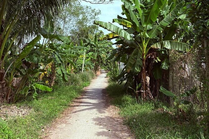 Can Tho Countryside Bike Tour with Fruit Garden Visit - Practical Details and What to Expect