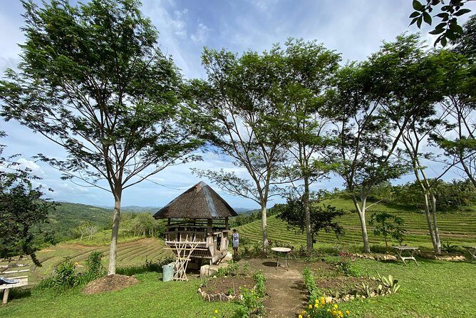 Can-umantad Falls and candijay rice terraces Eco Tour - A Deep Dive Into the Itinerary and Experiences