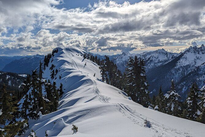 Canadian Rockies Summer Private Tour - Practical Details and Value