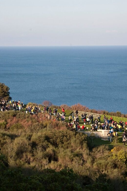 Canakkale: 6-Hour Gallipoli Tour with Lunch - Canakkale: 6-Hour Gallipoli Tour with Lunch — An Authentic and Moving Experience