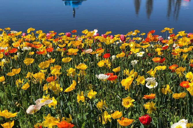 Canberra Floriade Tour - Key Points