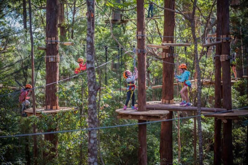 Canberra: Majura Pines Junior Tree Ropes Course - Introduction