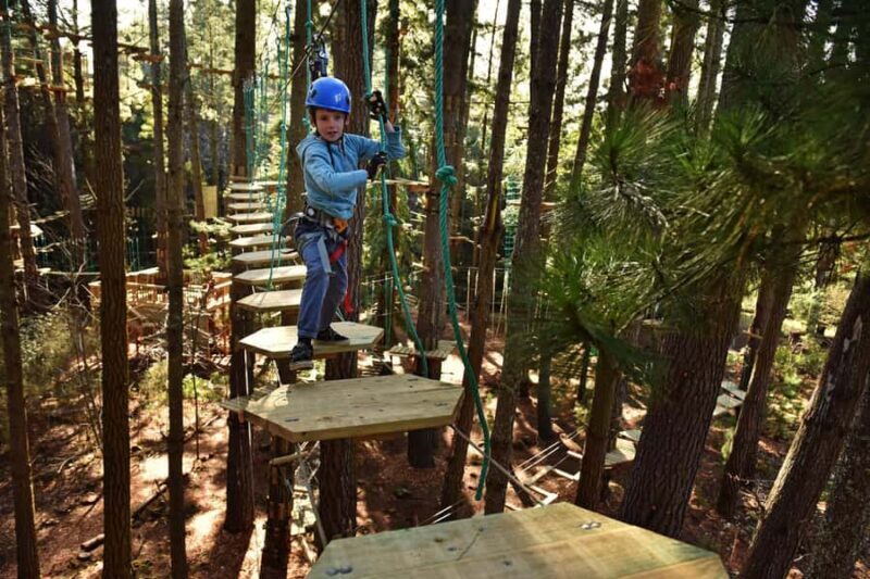 Canberra: Majura Pines Tree Ropes Course - Key Points