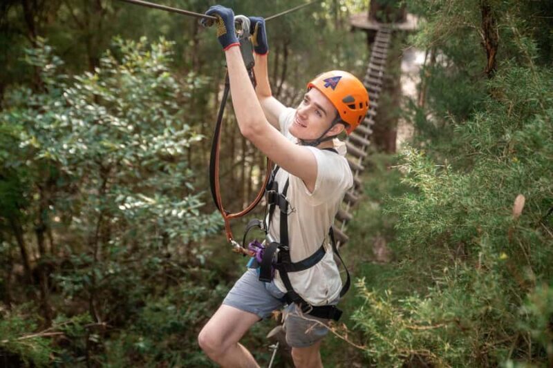 Canberra: Majura Pines Tree Ropes Course - An In-Depth Look at the Majura Pines Tree Ropes Course
