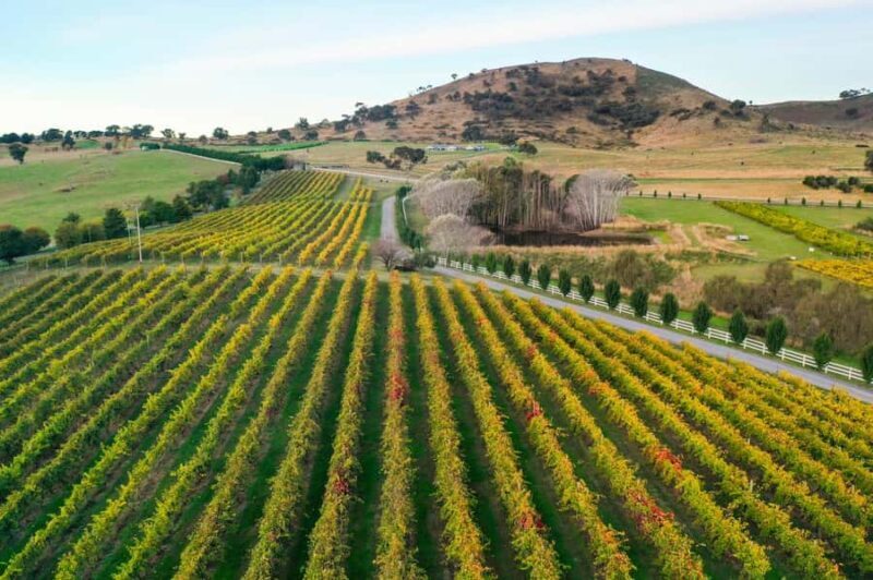 Canberra: Private Wine Discovery Tour with Lunch - The Value of a Private Experience