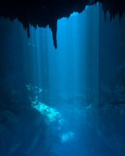 Cancun 2 Cenote Dives: The Pit & Dos Ojos - Certified Divers - What Makes This Tour Stand Out?