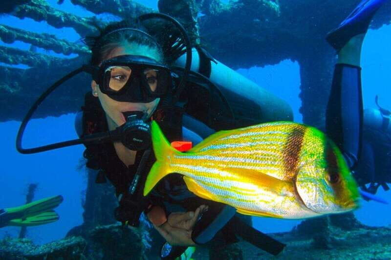 Cancún: 2-Day PADI Open Water Diving Course - Key Points