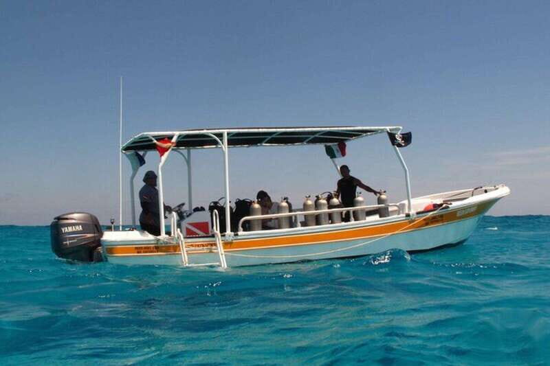 Cancún: 2-Day PADI Open Water Diving Course - Who Will Love This Experience?