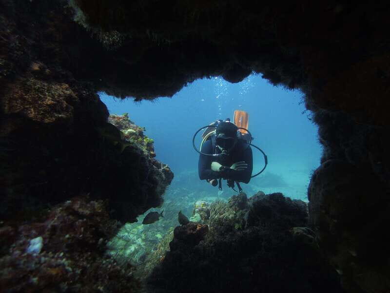 Cancun: 2 Reef Dives at Punta Cancun for Certified Divers - Who Will Love This Tour