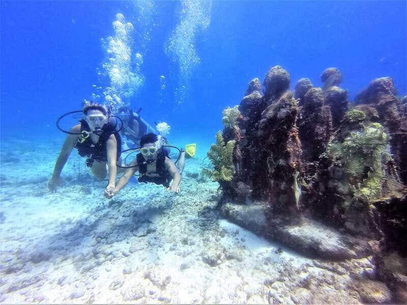 Cancun: 2-Tank Dive for Beginners with MUSA and Reef Dive - What Past Participants Say