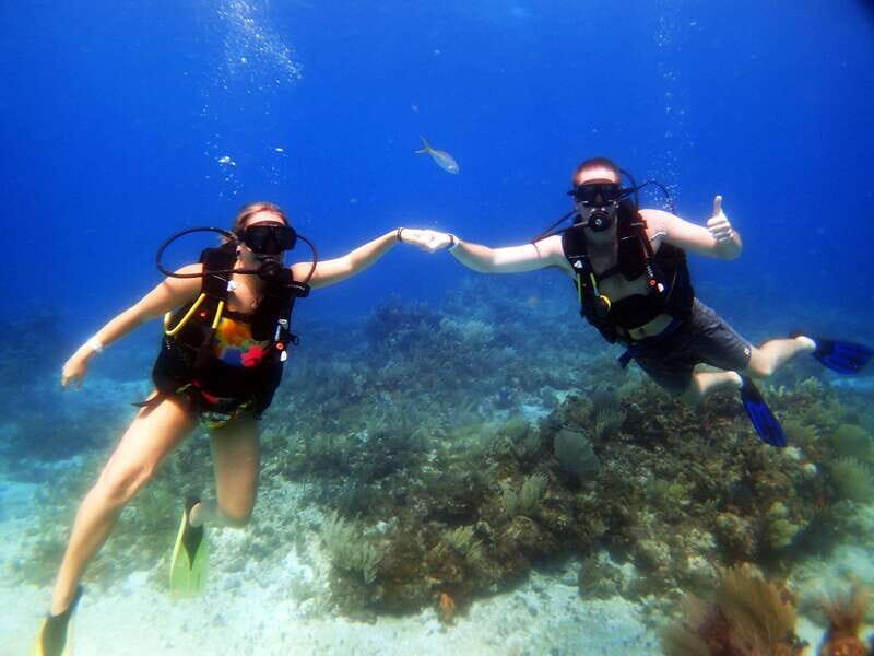 Cancun: 2-Tank Dive for Beginners with MUSA and Reef Dive - Who Should Consider This Tour?