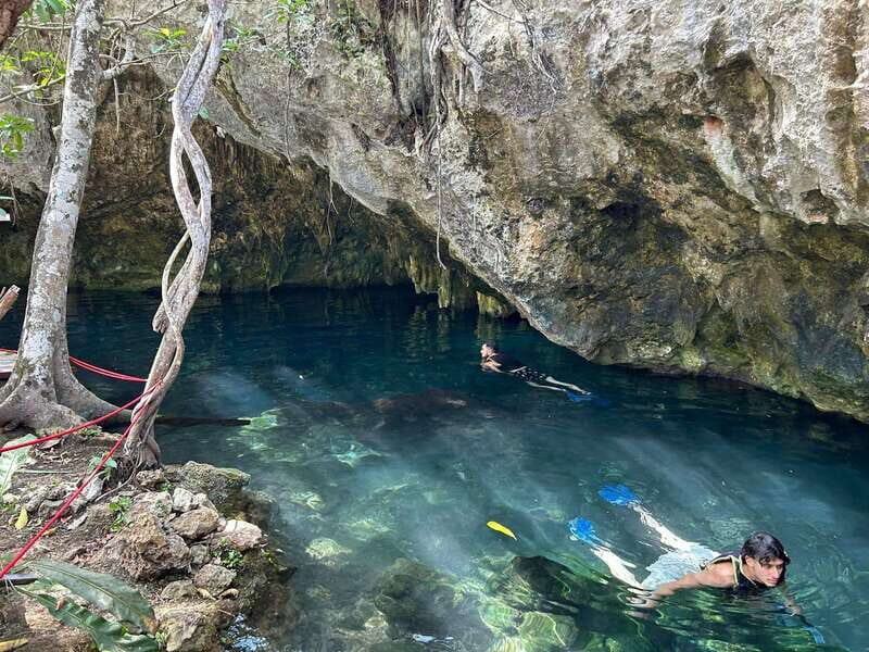 Cancun: 3 Cenotes & 1 Lagoon Tour - A Complete Look at the Cancun: 3 Cenotes & 1 Lagoon Tour