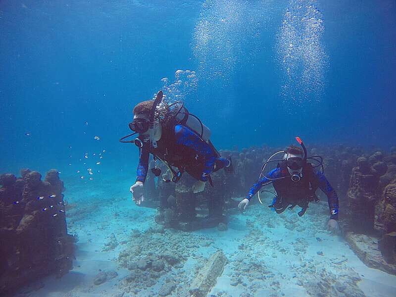 Cancun: 3 Days SDI Open Water Diver Certification - Why Consider This Certification Course?