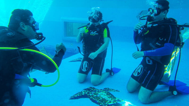 Cancun: Aquaworld Scuba Diving School - The Sum Up