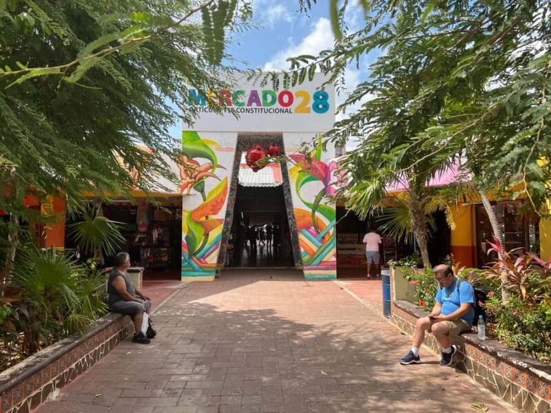 Cancun: Bus Tour - City Adventure around the Best Stops - Why Choose This Tour?