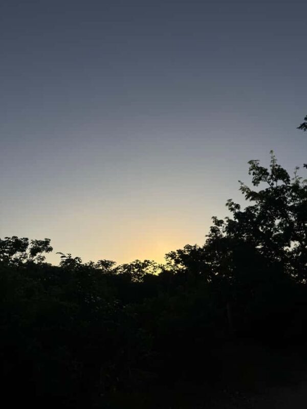 Cancun: Cenotes El Retoño entrance with transport, food, and guided tour. - FAQ