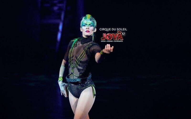 Cancún: Cirque du Soleil JOYÀ Entry Ticket and Transfer - A Closer Look at Cancún’s Cirque du Soleil JOYÀ Experience