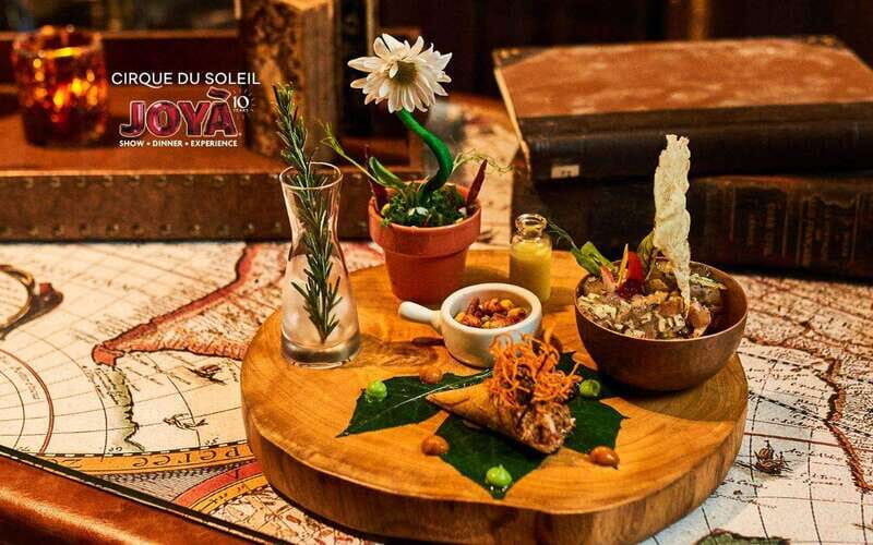 Cancún: Cirque du Soleil JOYÀ Entry Ticket and Transfer - Authentic Insights from Past Travelers