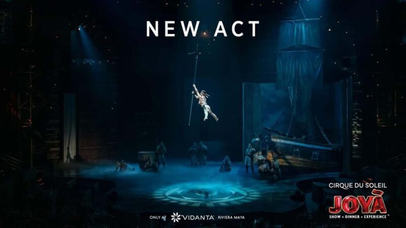 Cancún: Cirque du Soleil JOYÀ Show Ticket - The Value Proposition