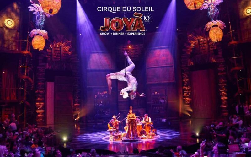 Cancún: Cirque du Soleil JOYÀ Ticket - Discovering Cirque du Soleil JOYÀ in Cancun: An In-Depth Review