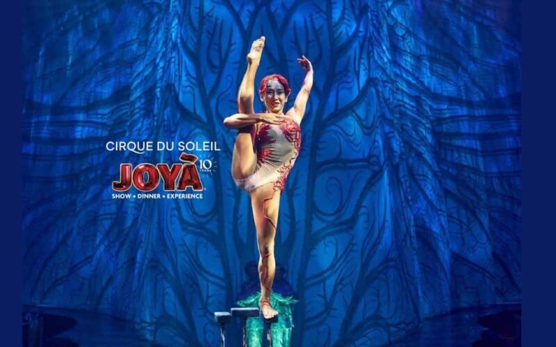 Cancún: Cirque du Soleil JOYÀ Ticket - How the Experience Comes Together