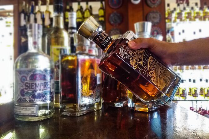 Cancun City Adventure! Private Half Day Tour - The Sum Up: Who Is This Tour Best For?