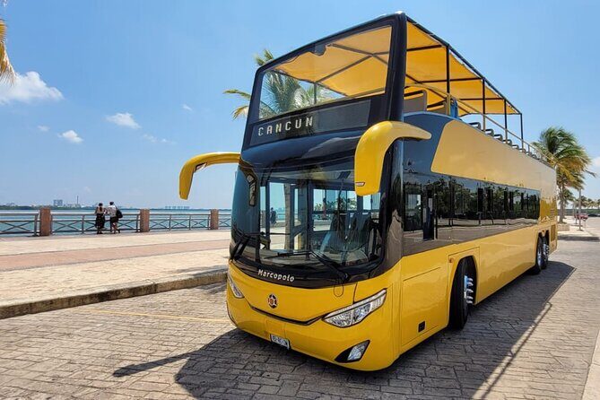 Cancun City Sightseeing and Shopping Tour on a Double Decker bus - The Experience: A Detailed Breakdown