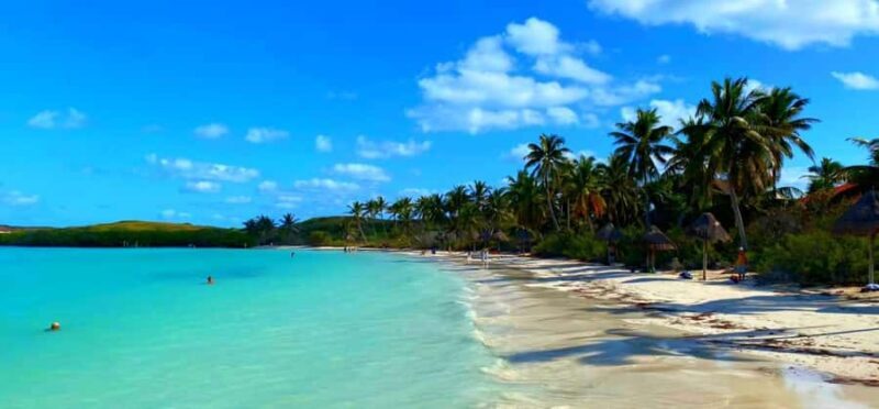 Cancun: Contoy Island & Isla Mujeres with snorkeling and lunch on the beach - FAQ