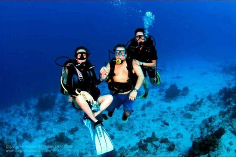 Cancún: Cozumel 2-Tank Diving Tour with Lunch & Transfers - Who Would Love This Tour?