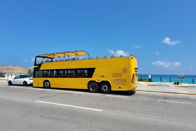 Cancun Cultural City Tour from Costa Mujeres - Who Will Love This Tour?