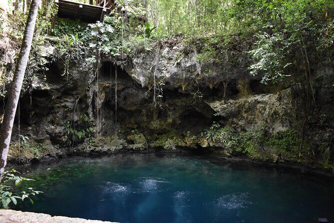 Cancun: Discover the Hidden Treasures: Exploring 3 Jungle Cenotes - What to Expect from This Cenote Tour
