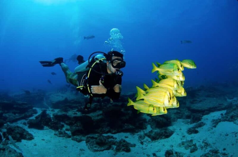 Cancun: Dive and Stay Experience - Additional Practical Details
