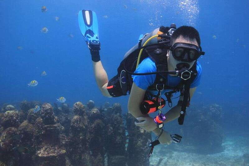 Cancun: Dive Underwater Museum & Manchones Reef - Key Points