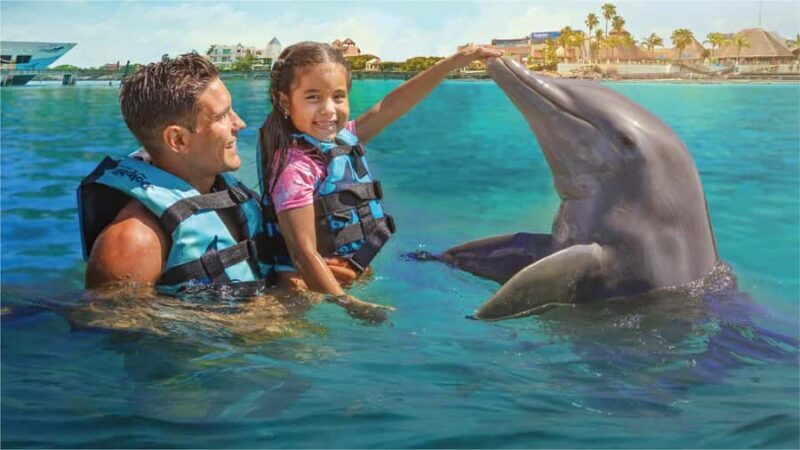 Cancun: Dolphin Connection & Garrafon Reef Park with Buffet - Who Should Consider This Tour?