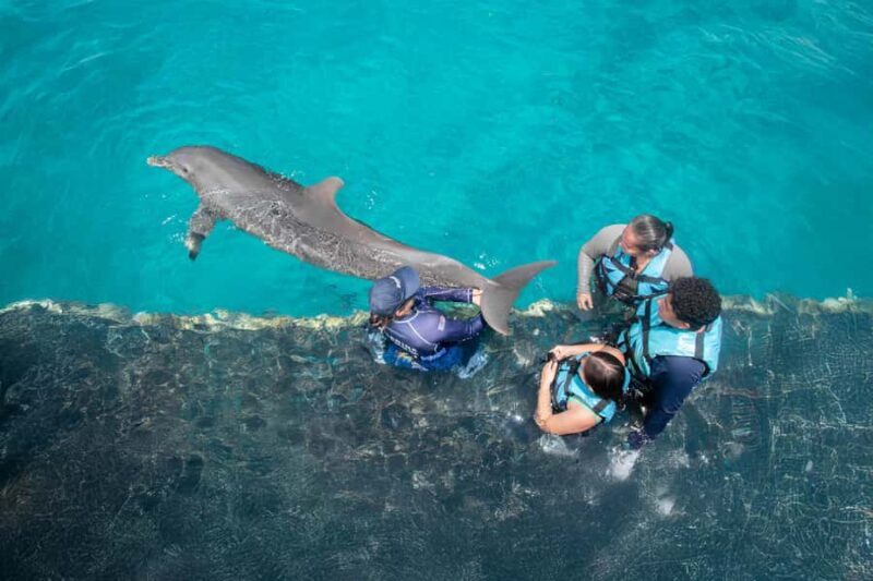 Cancun: Dolphin Connection & Garrafon Reef Park with Buffet - FAQs