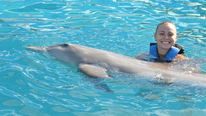 Cancún: Dolphin Encounter on Isla Mujeres with Buffet - Key Points