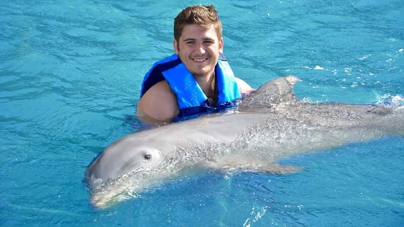 Cancún: Dolphin Encounter on Isla Mujeres with Buffet - A Detailed Look at the Tour Experience