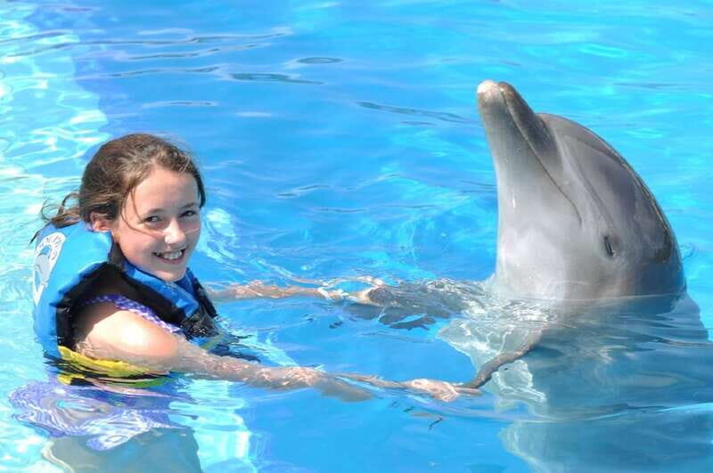 Cancún: Dolphin Encounter on Isla Mujeres with Buffet - Who Would Enjoy This Tour?
