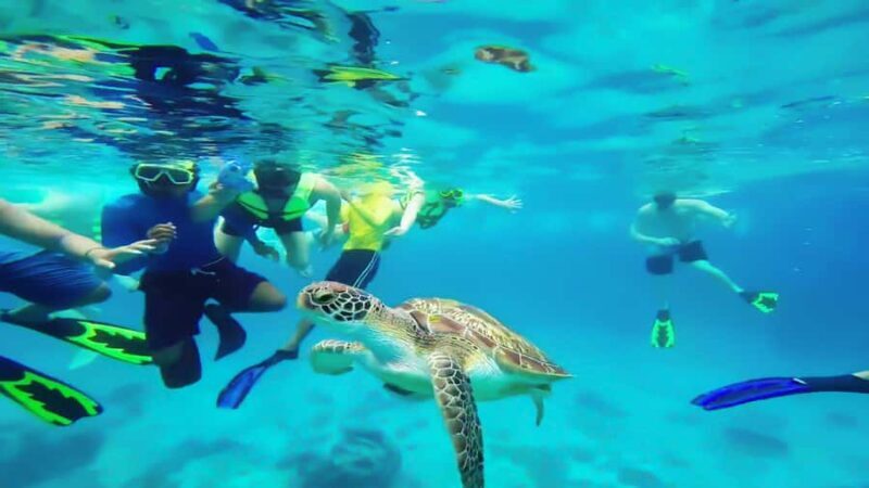 Cancun: Explore Tulum, swim with turtles, and visit a cenote - Frequently Asked Questions