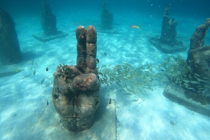 Cancun Fly and Swim Parasailing and Snorkeling Combo Tour - FAQ