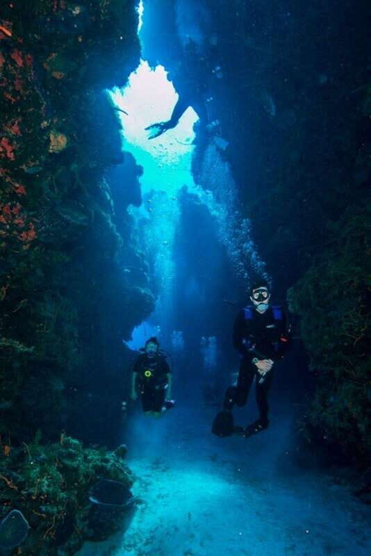 Cancun: Goliat Grouper Dive Adventure - Key Points