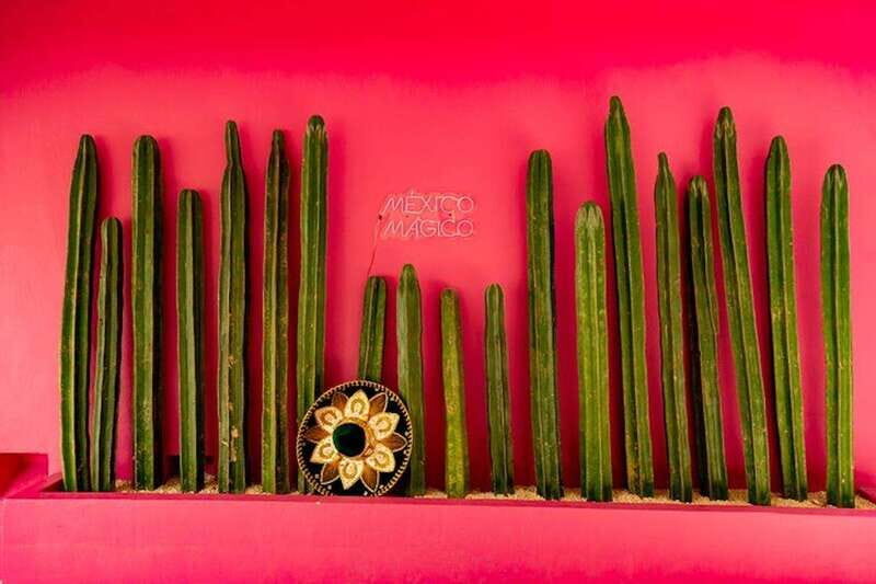 Cancun Guided Sightseeing, Shopping and Tasting Tour - Key Points