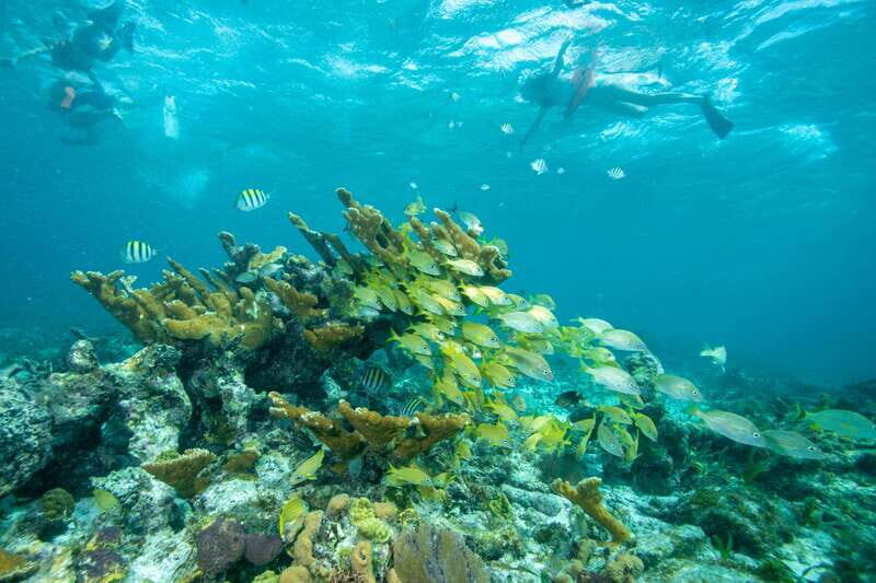 Cancun: Half Day Private Catamaran with Snorkeling. 25 guest - Who is this tour best for?