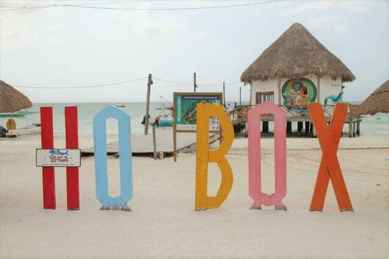 Cancun: Holbox Island Birdwatching and Wildlife Adventure - Final Thoughts