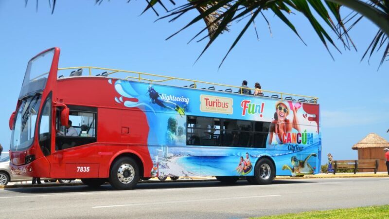 Cancun: Hop-on Hop-off Bus Tour with Flowrider Experience - Who This Tour Is Best For