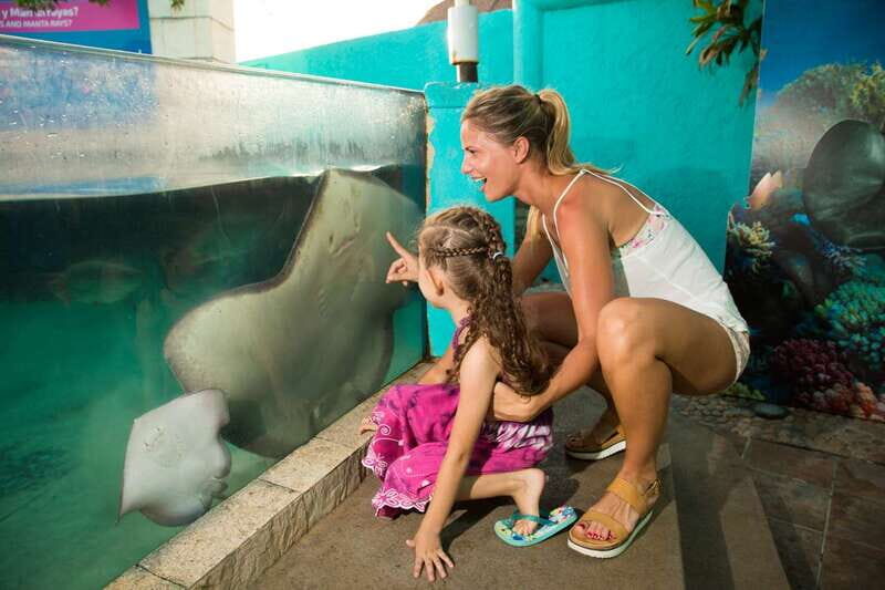 Cancún: Interactive Aquarium Admission - Key Points